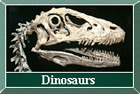 frame_dinohall.gif (8302 bytes)